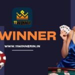 11winner App: A Modern Gateway to Online Play